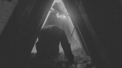 Vykupování východoněmeckých vězňů