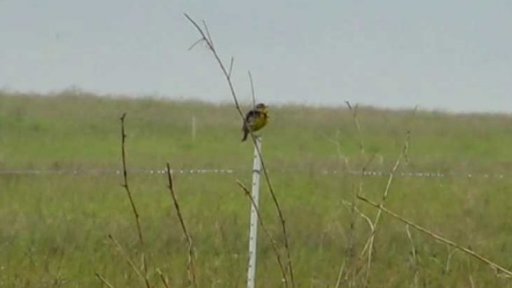 Obnova mokřadů + rozhovor s B. Janským