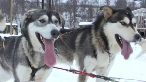 Norsko: sezona polární záře startuje