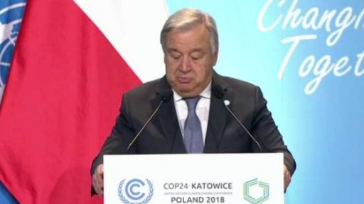 Ekologie v roce 2019