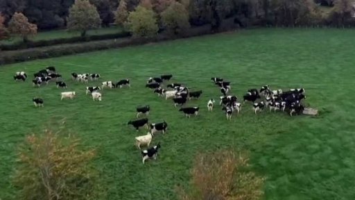 Nebezpečné emise a zemědělství