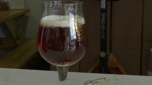 Pivo z "archivních" kvasnic