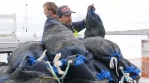 Austrálie: sádky zachraňují zaměstnanost