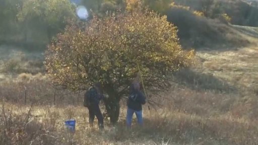 "Ovocní detektivové" + rozhovor s V. Ptáčkem