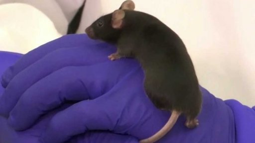 Význam výzkumu na ISS + rozhovor s T. Přibylem