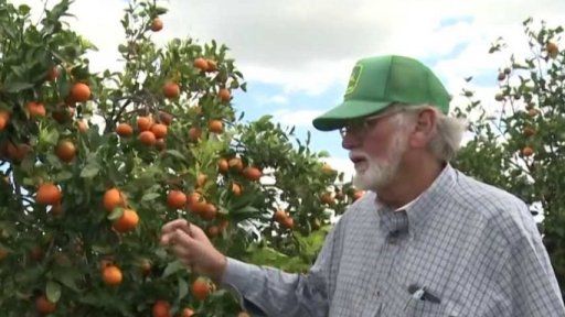 Floridské citrusy v ohrožení + rozhovor s J. Banoutem