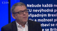 Klíčové hlasování o brexitu - Lubomír Zaorálek a Ivo Šlosarčík