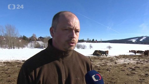 Nedostatek krmiva pro dobytek