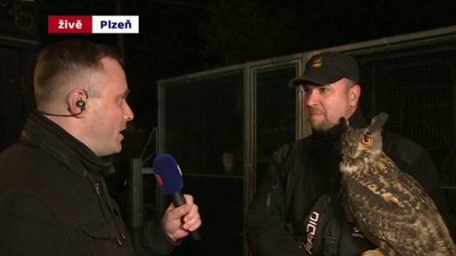 Na Plzeňsku se objevili jarní ptáci - Karel Makoň