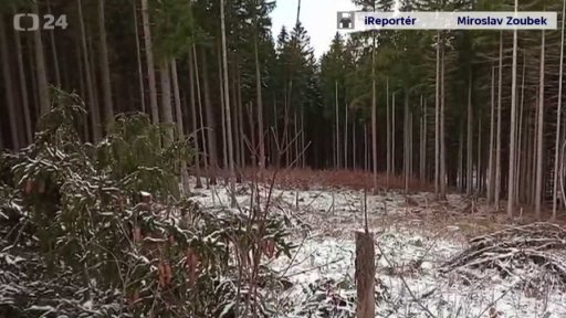 Vichřice objektivem ireportérů