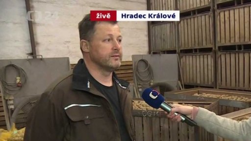Nedostatek tuzemských brambor - reportáž