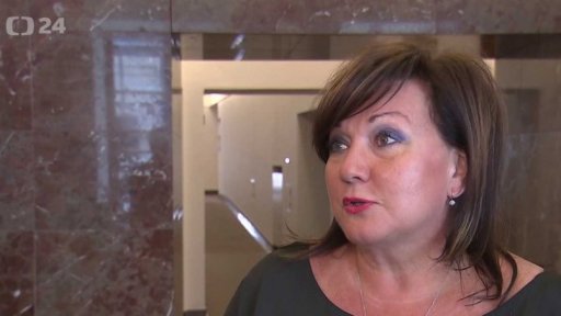 Sněmovna nedokončila schvalování EET