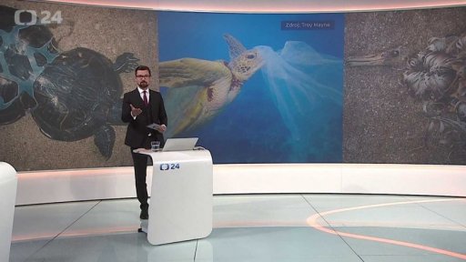 Plasty v mořích a oceánech