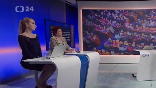 Eurovolby a evropské frakce - Vladimíra Dvořáková