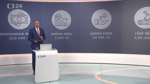 Ekonomické dopady kůrovcové kalamity