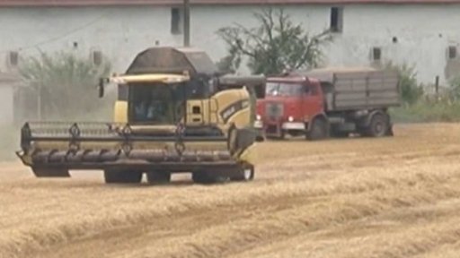 Přemnožení hraboše polního - Vladimír Dolejský