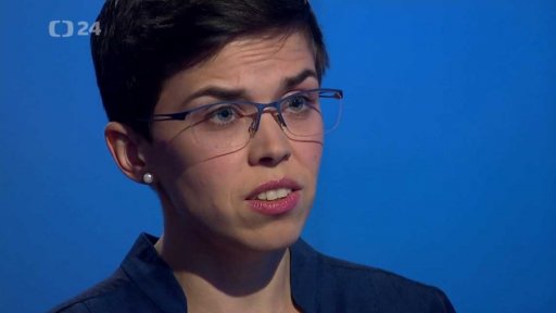 Hlasování o osudu místopředsedy Pirátů