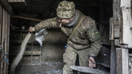 Lajk: volby za zvuku šrapnelů