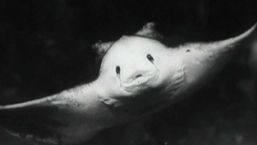 Výprava na dno oceánu (1959)