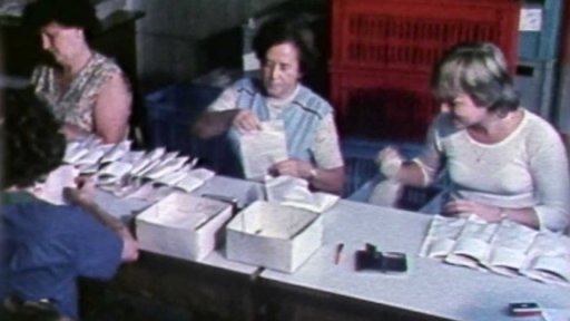 Zakázky amatérských fotografií v družstvu Fotografia (1981)