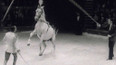 Zvířata a lidé - italský cirkus v Budapešti (1965)