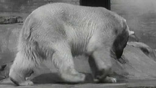 Spartakiáda začíná - lidé zaplnili Prahu (1955)