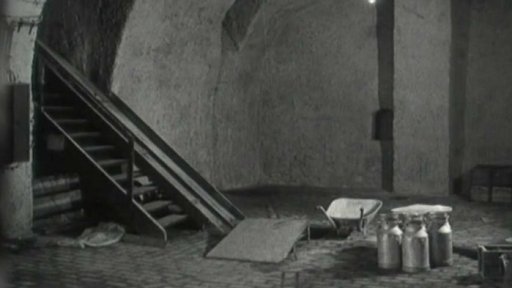 Jihomoravští družstevníci zřídí vinárnu v Praze (1969)