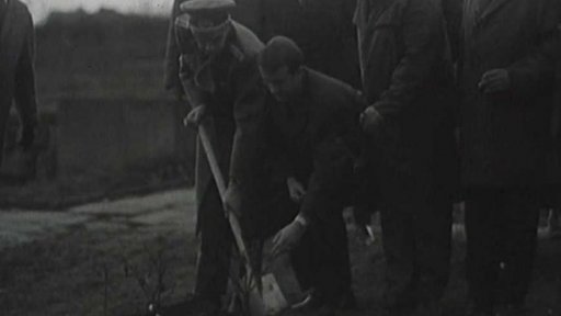 Mezinárodní manifestace mladých proti fašismu a válce v Lidicích (1969)