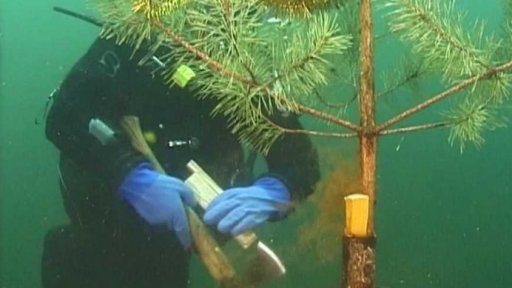 Potápěčské Vánoce (2005)