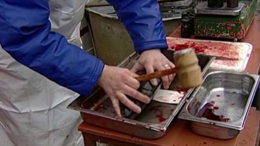 Veterinární kontrola se zaměřila na prodejce kaprů (2006)