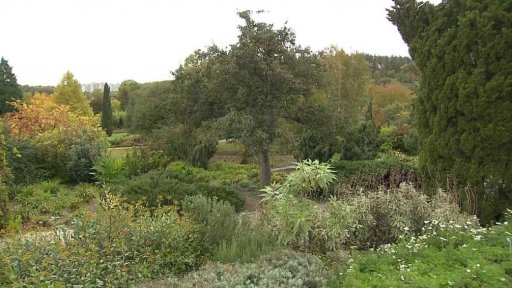 50 let botanické zahrady