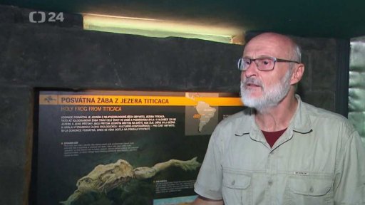 O krok blíž k záchraně kriticky ohrožené žáby