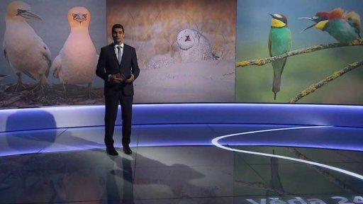 Comedy Wildlife Photography Awards