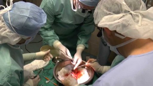 První dítě z transplantované dělohy v ČR