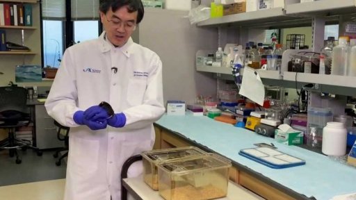 Myši na Mezinárodní vesmírné stanici