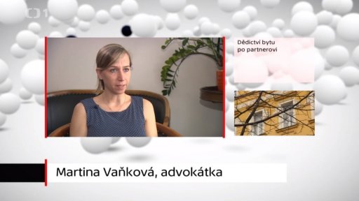 Dědictví bytu po partnerovi