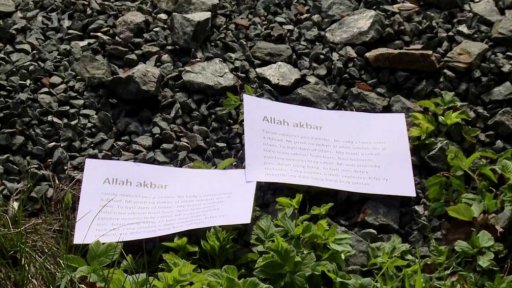 Vyděšený harmonikář