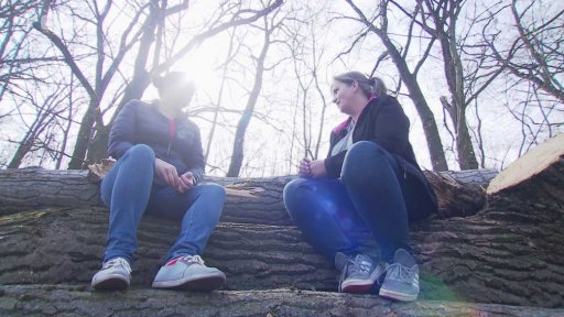 Byrokracie, nebo život II