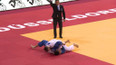 Grand slam judo