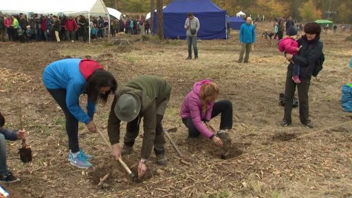 Olympionici sázeli stromy