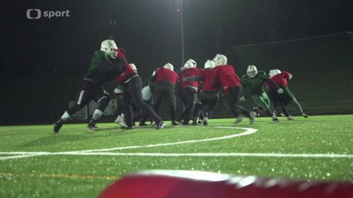 1 na 1: Tomáš Fortelný