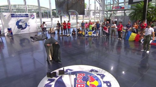 Mistrovství světa v hodu vlaštovkou