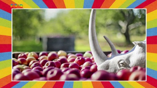 Jablečné slavnosti