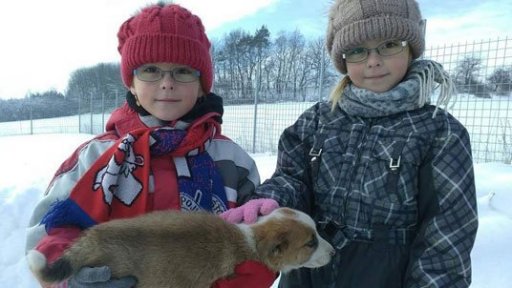 Vánoce v psím domově