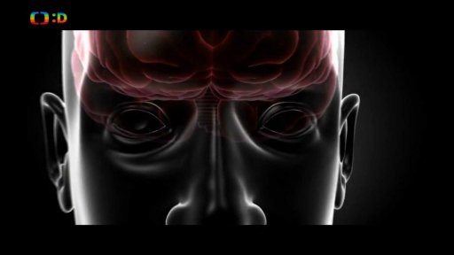 Téma týdne - 1. část