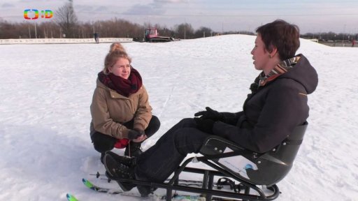 Volný čas: Sledge běžkaření