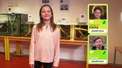 Příroda: Akvaristika