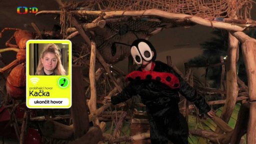 Příroda: Mraveniště