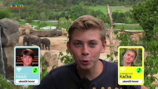 Společnost: Létající slůně Dumbo