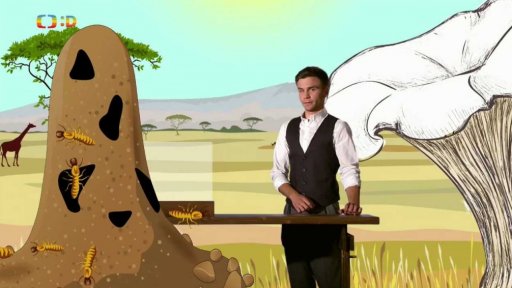 Zaostřeno na: Je to na houby